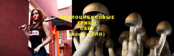 ECSTASY Алексин