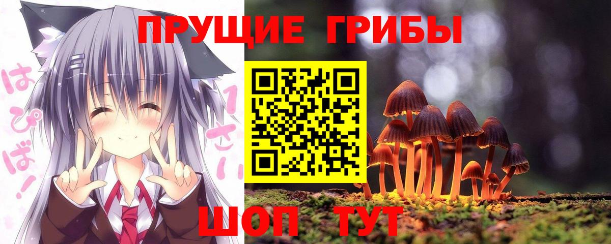 Псилоцибиновые грибы мухоморы Ярцево