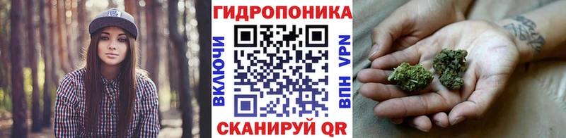 Бошки марихуана гибрид Ярцево